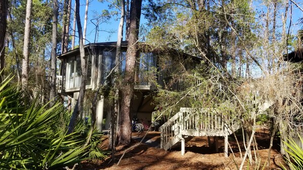 Individual Treehouse in a Forest Preserve with Sea Pines