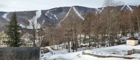 views from living rm: snowball,spring fling, steins run, organgrinder, ripcord