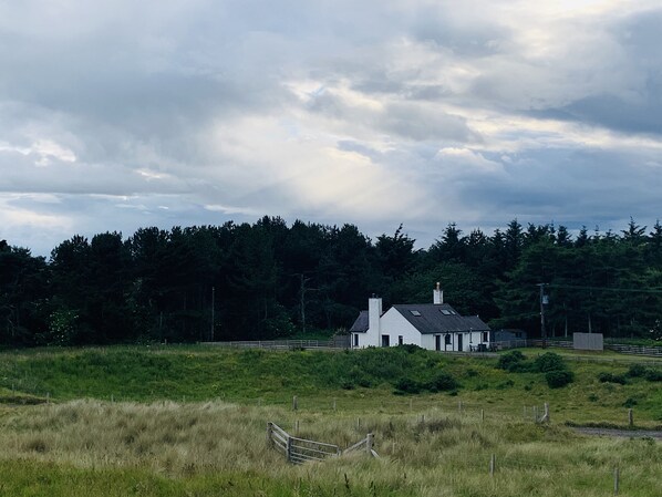 Boendeområde