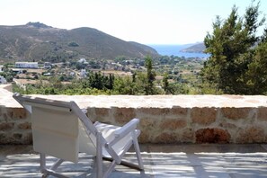 The view