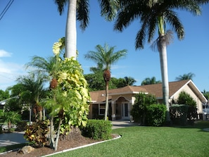 Large triple lot professionally landscaped with 9 mature palm trees