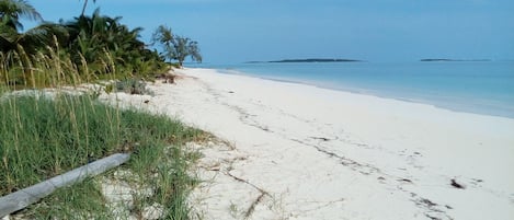 Spiaggia