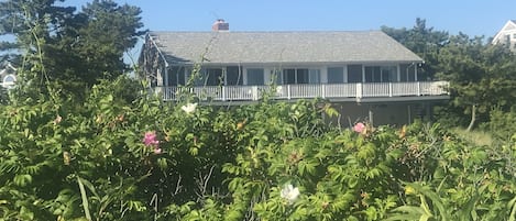 Pristine Beach House on Cape Cod!
65 Magnolia! The Place To Be!