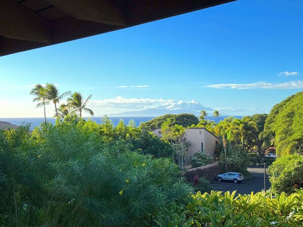 Partial Ocean View from the Bedroom balcony