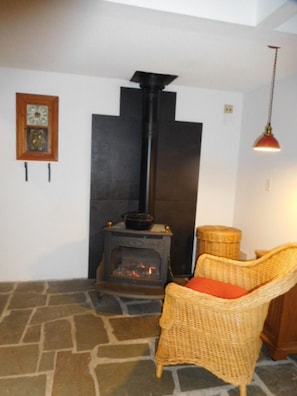 Reading Area
with very cute Fireside Franklin Soapstone Gas Stove /  Propane