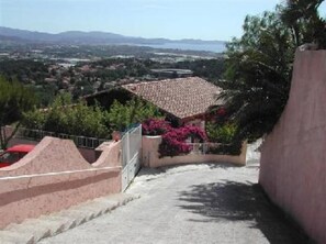 Overview