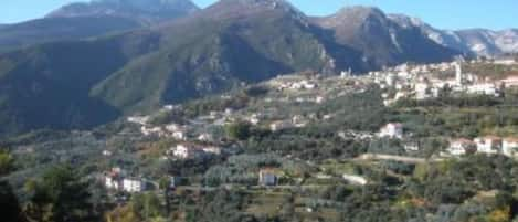 Between the sea and the mountain of Liguria, in the village of Magliolo...