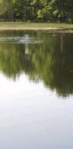 Lac