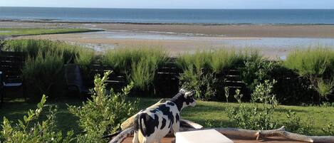 Terrasse côté mer