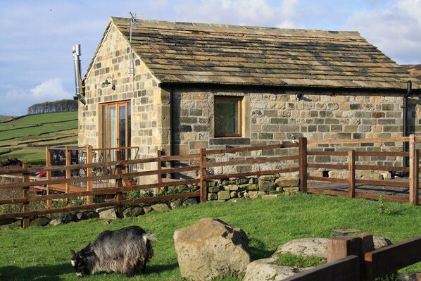 Relaxing rural setting with green views.