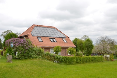 Schöne Ferienwohnung mit Garten, Liegewiese und Holzsauna, direkt am Elbdeich