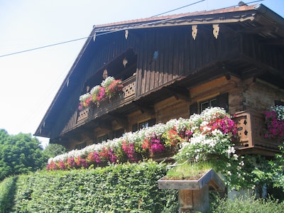 Altes Haus - Neue Wände: große 4 Sterne ****FeWo im alten Bauernhaus erbaut 1666