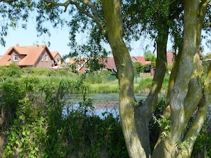 Blick vom Garten auf die Aue - auf den See