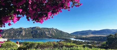 Vue panoramique sur la Baie de Santa Giulia de la mini villa