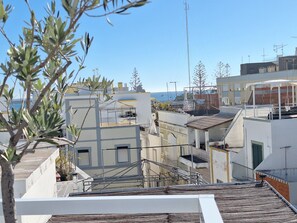 施設の敷地