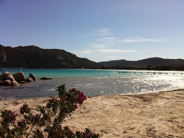 Strand