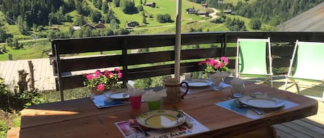 BELLE TERRASSE PLEIN SUD AVEC VUE MAGNIFIQUE