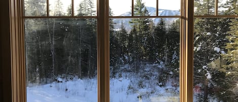 View of Sugarloaf mountain from the living room