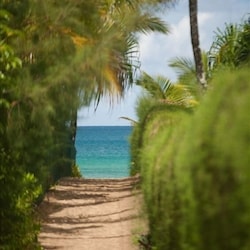 This path is 700 feet from the Tiki Home!