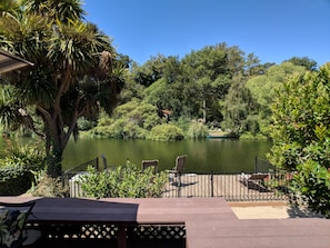 Beauty of our backyard