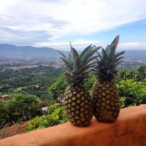 View overlooking the Valley