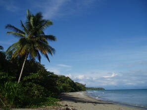 Looking north into the Golfo Dulce.