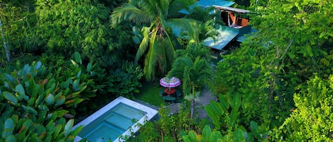 Jungle living in style, a pool and a secluded  beach on the Osa Peninsula, CR