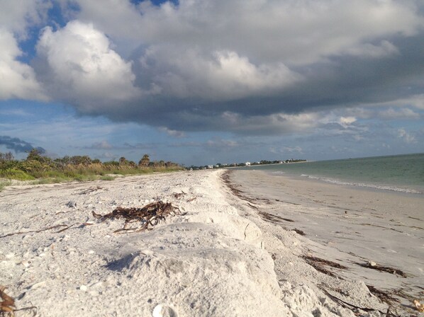 Strand