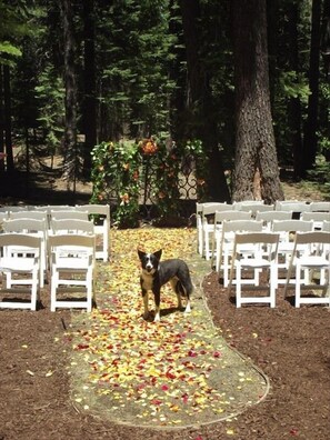 So beautiful you could have a small wedding here ( I did ) :)