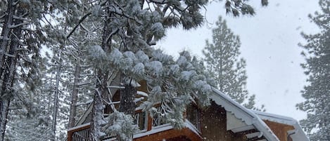 Cabin in the snow