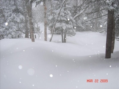 Jay Peak - Ski-in / Ski-Out at the Best in the East