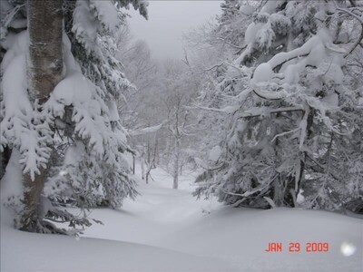 Jay Peak - Ski-in / Ski-Out at the Best in the East