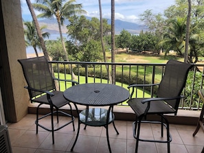 New lanai chairs October 2022