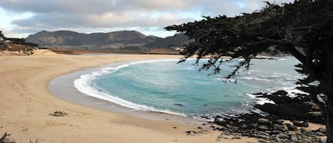 Beach at the end of the block