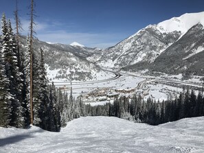 Sneeuw- en skisporten