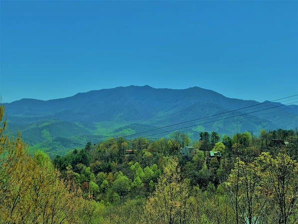 Spring time, back deck view.