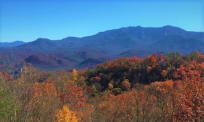 Fall in the Smokies.