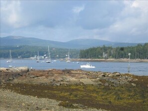 View of Somes Sound from our Beach