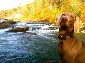 Duke, our Son..