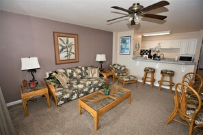 Living Room And Kitchen