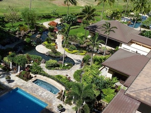 Jacuzzi & gorgeous garden view from 7th floor lanai