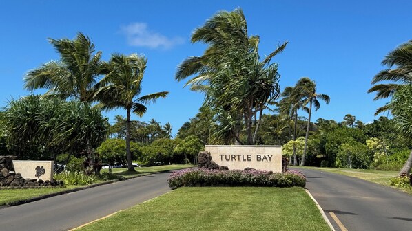 Our condo is located at the entrance of the iconic Ritz Carlton at Turtle Bay