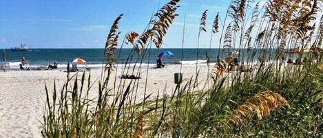 Vitamin Sea. Sea Pines Beach Club on the Atlantic Ocean