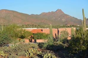 Front of house