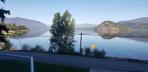 🎣 Morning fishing May 2024