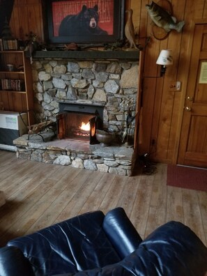 Living room fireplace