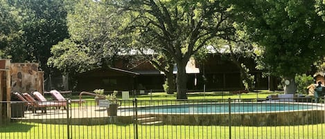 Solar-heated swimming pool
