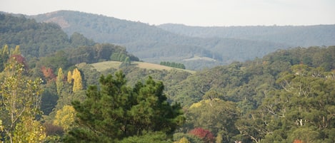 From your balcony stunning views of mountains and quaint village of Warburton.