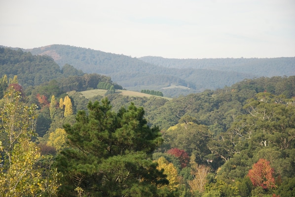 From your balcony stunning views of mountains and quaint village of Warburton.