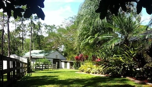 View of lush gardens and picturesque barn and paddocks in backyard by pool.